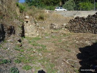 ifi-13-08-2020 08